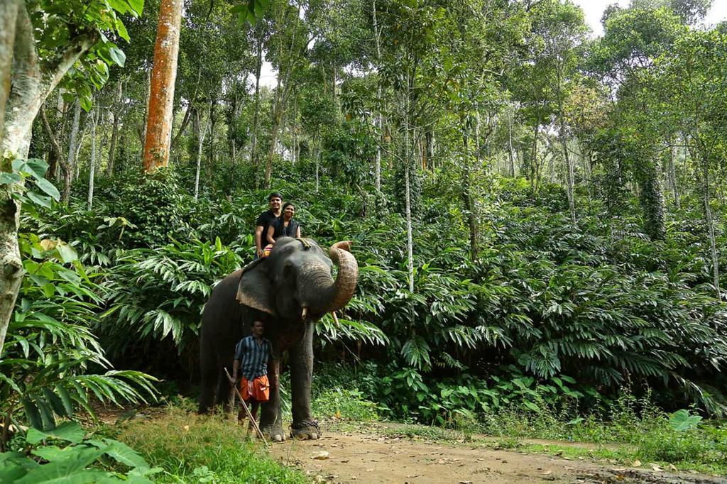 Peppervine Hotel Thekkady Kültér fotó