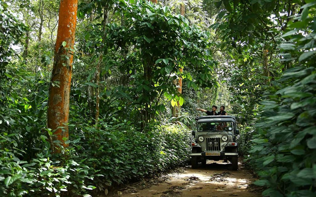 Peppervine Hotel Thekkady Kültér fotó